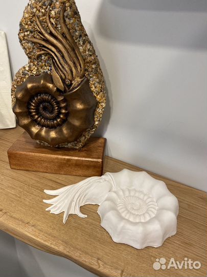 Гипсовая заготовка аммонита для творчества