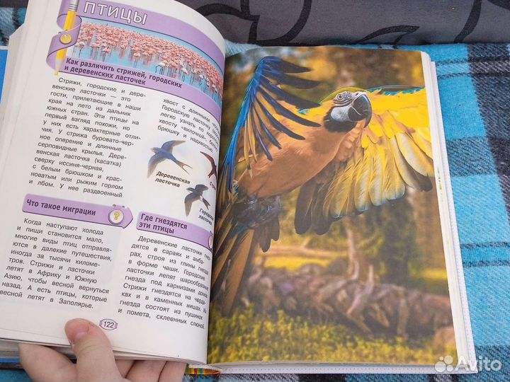 Детская энциклопедия