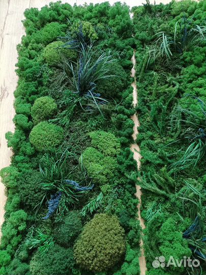 Панно мох стабилизированный