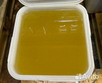 Свежий донниковый мёд 2023 г. опт