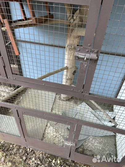 Большая клетка для птиц или другой живности