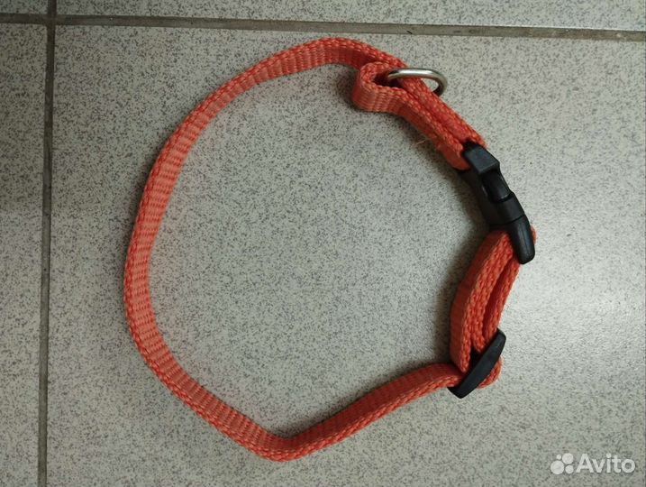 Ошейники разные, поводки
