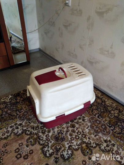 Кошачий писуар