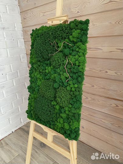 Панели из стабилизированного мха