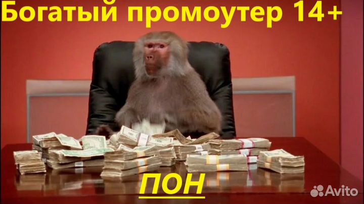 Промоутер с ежедневной выплатой