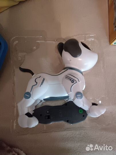 Собака на пульте управления