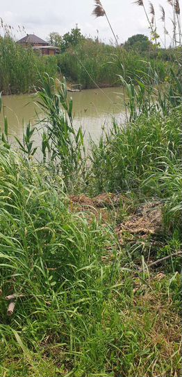 Участок 25 сот. (ИЖС)