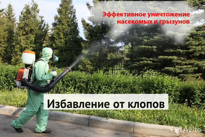 Уничтожение клопов тараканов грызунов блох клещей