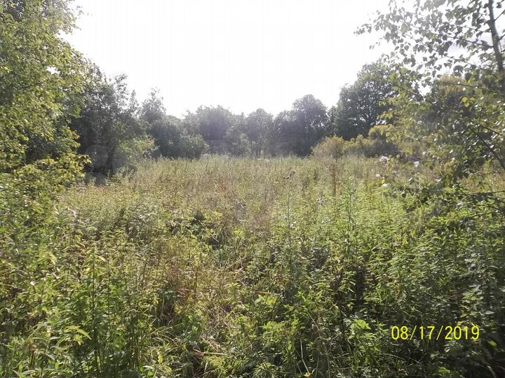 Участок 28,5 сот. (ИЖС)