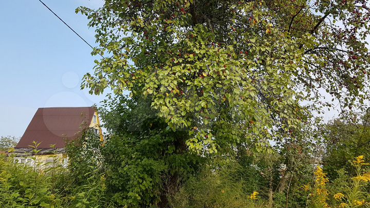 Участок 6 сот. (СНТ, ДНП)