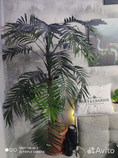 Искусственная пальма