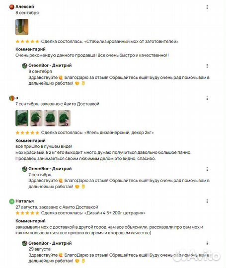 Вечно живой натуральный мох для интерьера