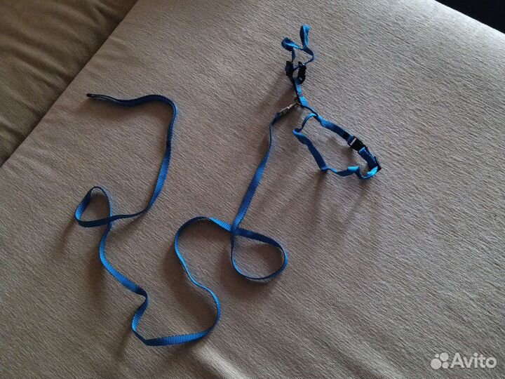 Шлейка с поводком