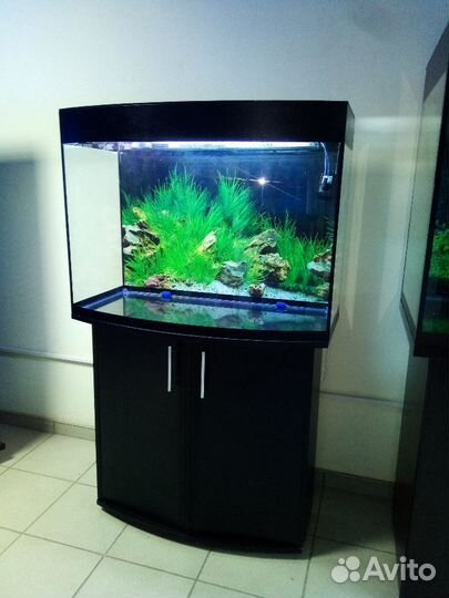 Аквариум 180л, полукруглый, свет, биофильтр, подс