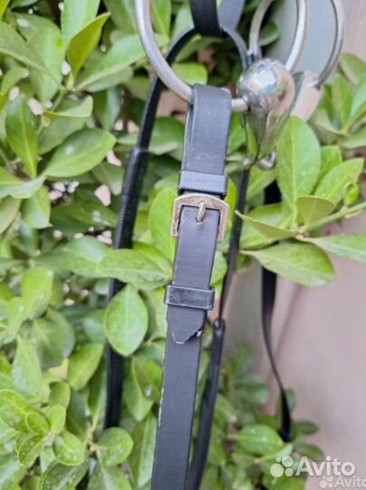 Уздечка для лошади