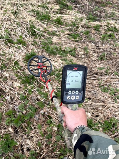 Minelab equinox 800