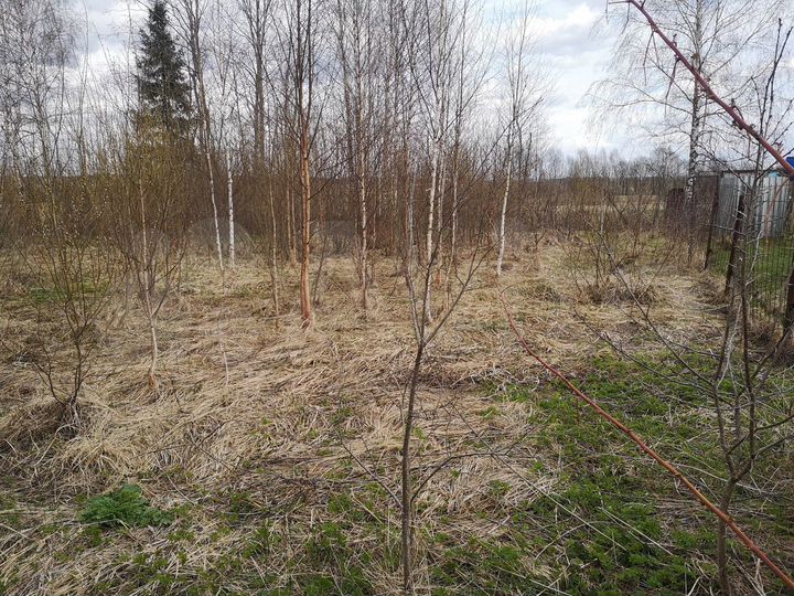 Участок 8 сот. (СНТ, ДНП)
