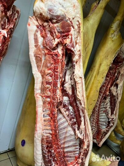 Свиньи на мясо