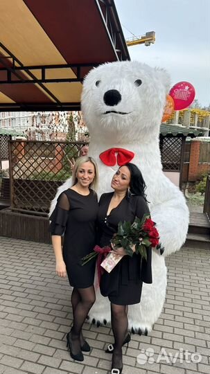 Экспресс-поздравление Белый мишка