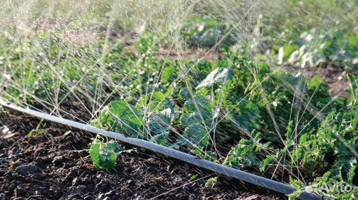 Спрей туман для полива