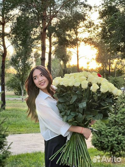 Розы Гиганты Ставрополь