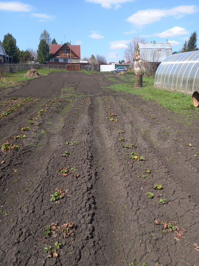 Участок 12 сот. (СНТ, ДНП)