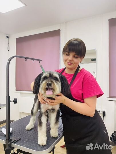 Груминг. Стрижка собак и кошек