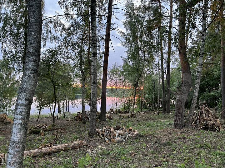 Участок 12,5 сот. (СНТ, ДНП)