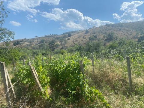 Участок 4 сот. (СНТ, ДНП)