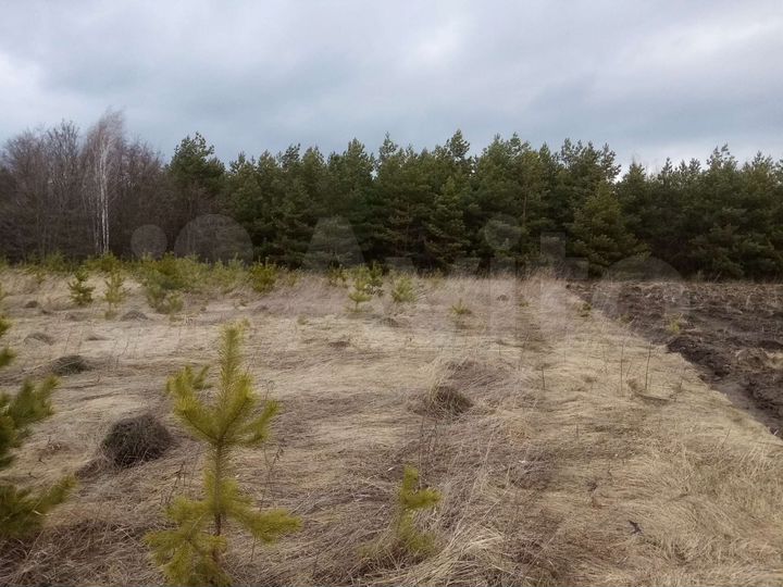 Участок 18,4 га (ИЖС)