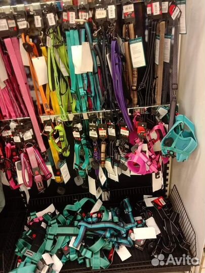 Поводок для собак