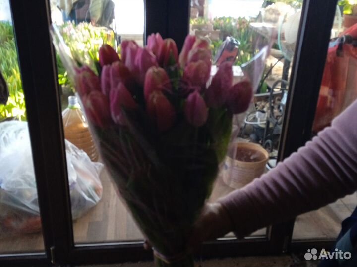 Тюльпаны к 8 марта и 14февроля