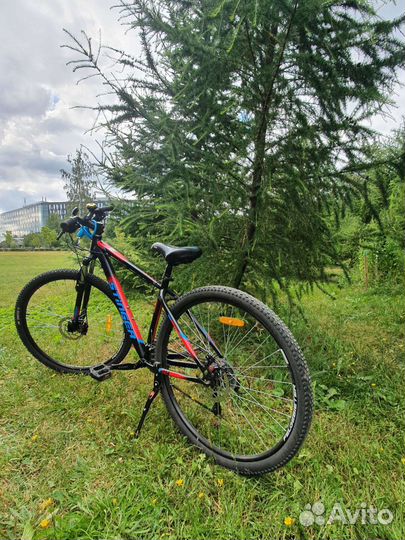 Велосипед Stinger Calman D29 2021г