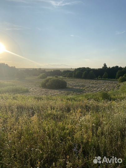 Сено луговое в тюках шикарное, можно и с доставкой