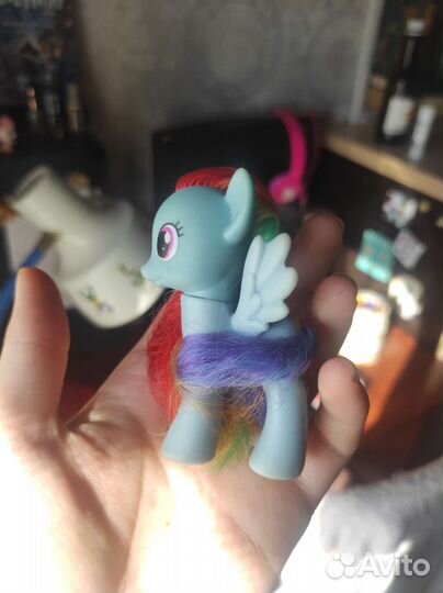 My little pony радуга дэш
