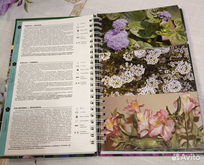 Печатные издания