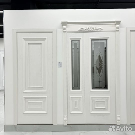 Двери дизайнерские v-8741