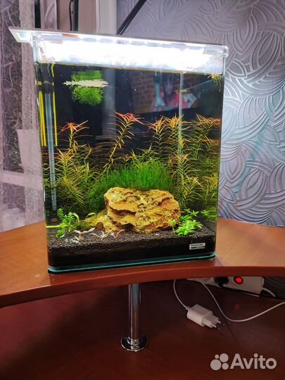 Аквариум dennerle 30л и другие