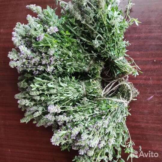 Травы для бани