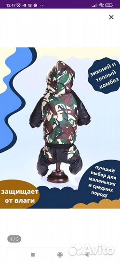 Комбинезон для маленькой собаки s