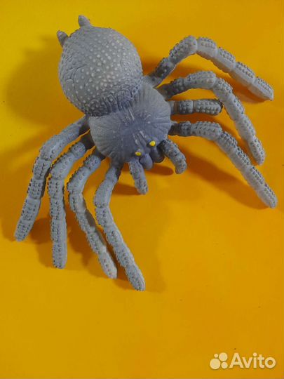 Мир животных для детей 3+