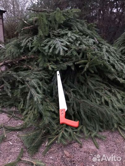 Лапник-Еловые ветки.для декора