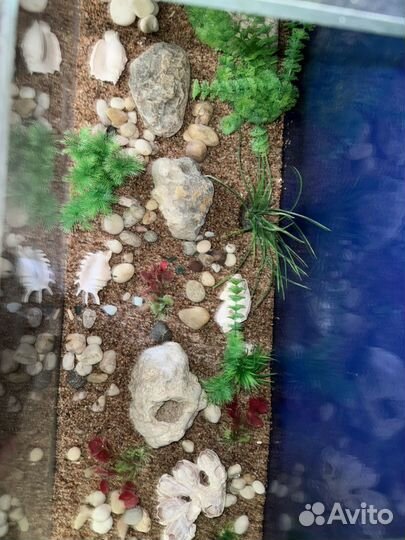 Аквариум с тумбой насосом и всем оборудованием