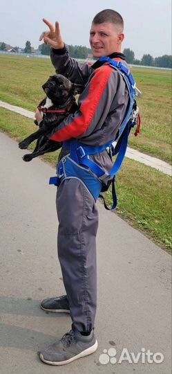 Суетолог водитель осмотрщик помощник в нск