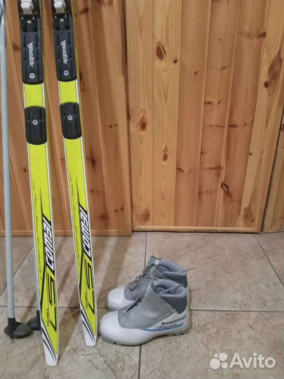 Беговые лыжи