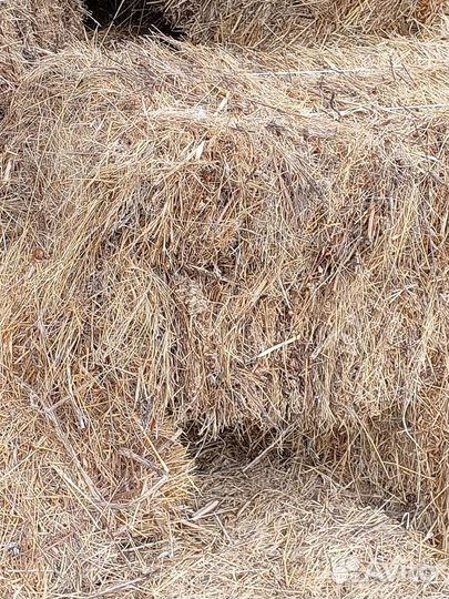 Сено в тюках и солома