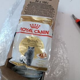 Влажный корм для кошек royal canin