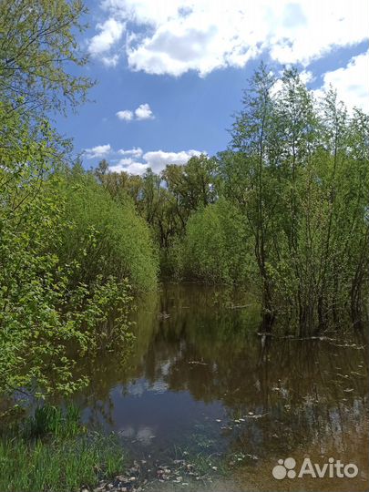 Прогулки на сапборде по реке Иртыш