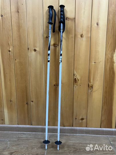 Горные лыжи