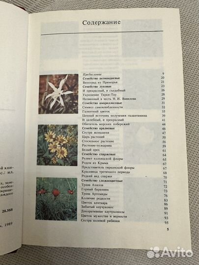 В. И. Артамонов Редкие и исчезающие растения